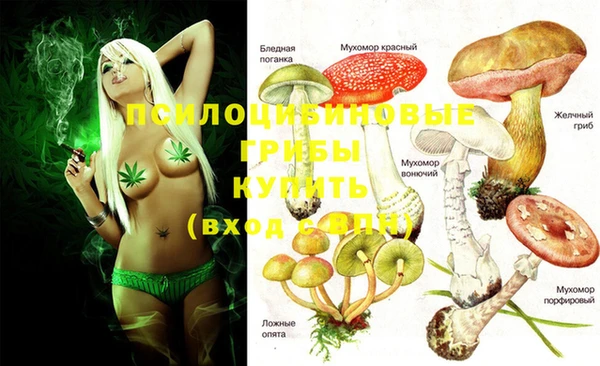 бошки Лагань