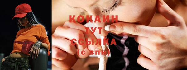 бошки Лагань