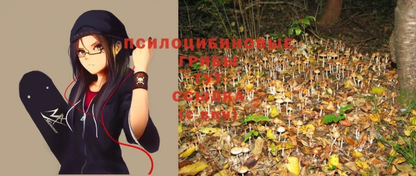 бошки Лагань