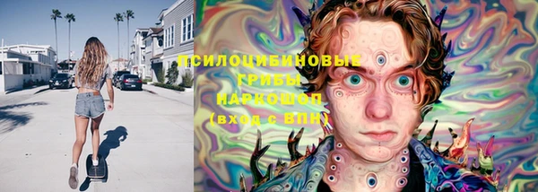 бошки Лагань