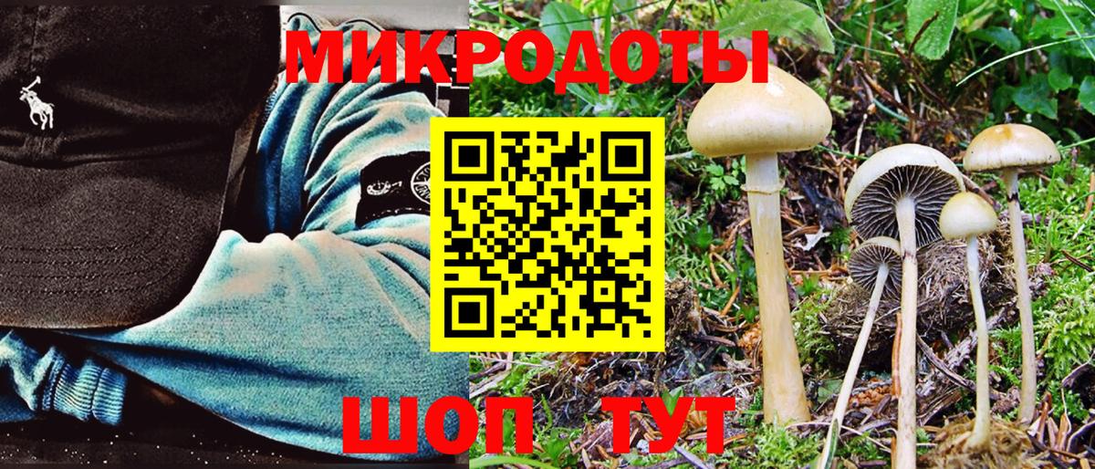 Псилоцибиновые грибы прущие грибы  Усинск 