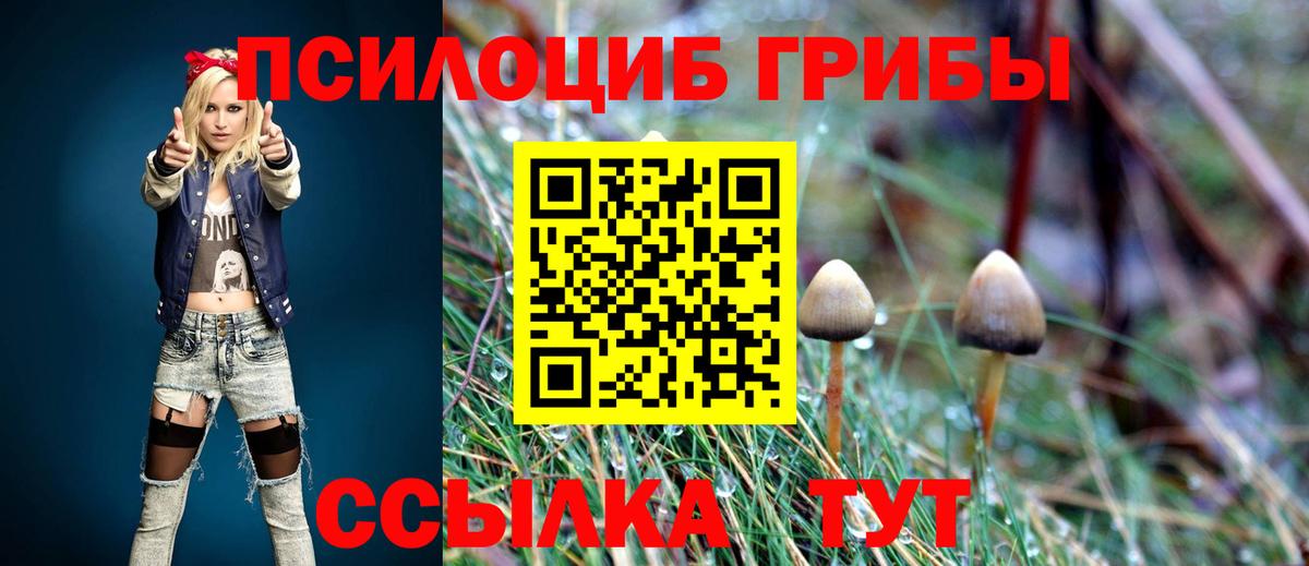 Галлюциногенные грибы Psilocybe Усинск