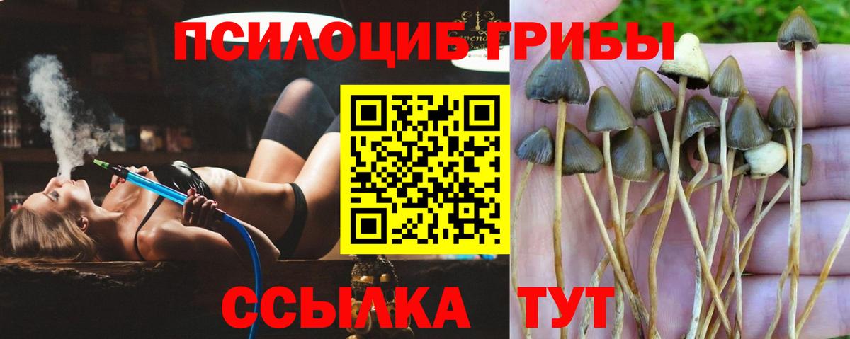 Усинск  Псилоцибиновые грибы GOLDEN TEACHER  Вход с VPN 